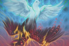 Decay TCG